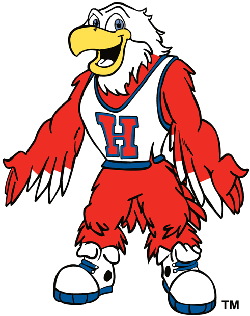 hartford hawks 1984-pres mascot logo DIY iron on transfer (heat transfer) fabric transfer 2